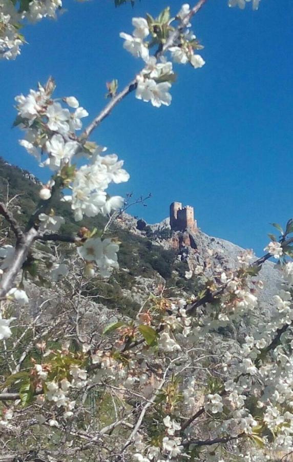 Casa La Oliva Villa Albanchez de Ubeda ภายนอก รูปภาพ