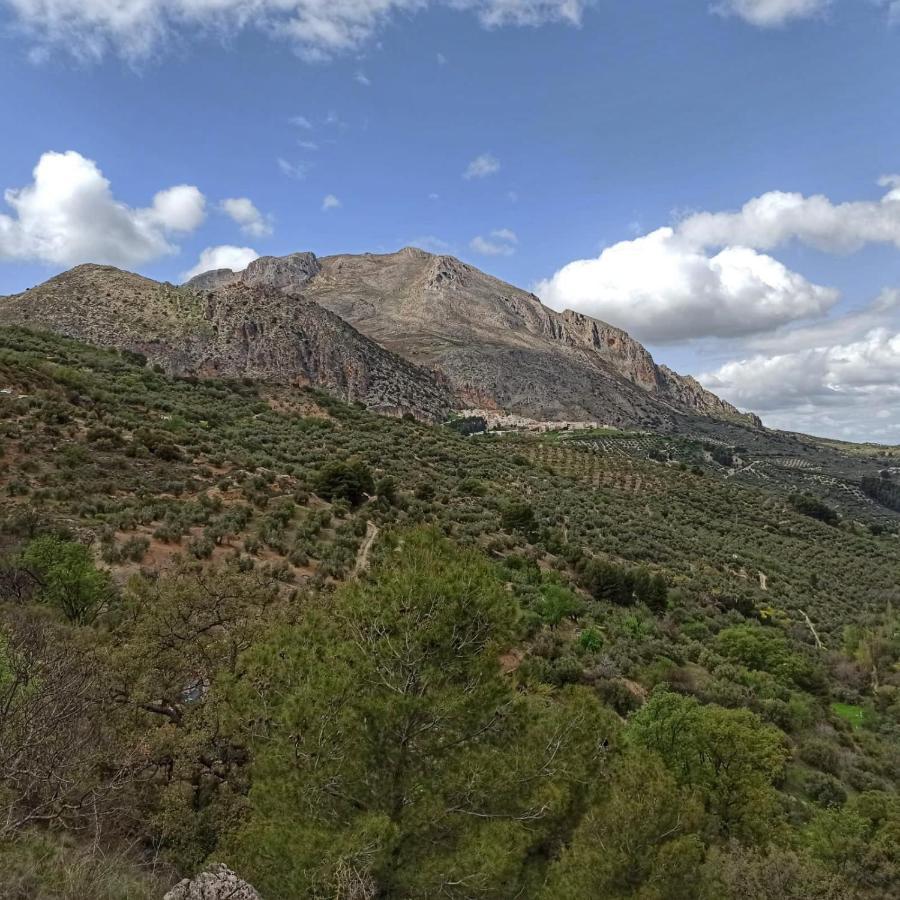 Casa La Oliva Villa Albanchez de Ubeda ภายนอก รูปภาพ