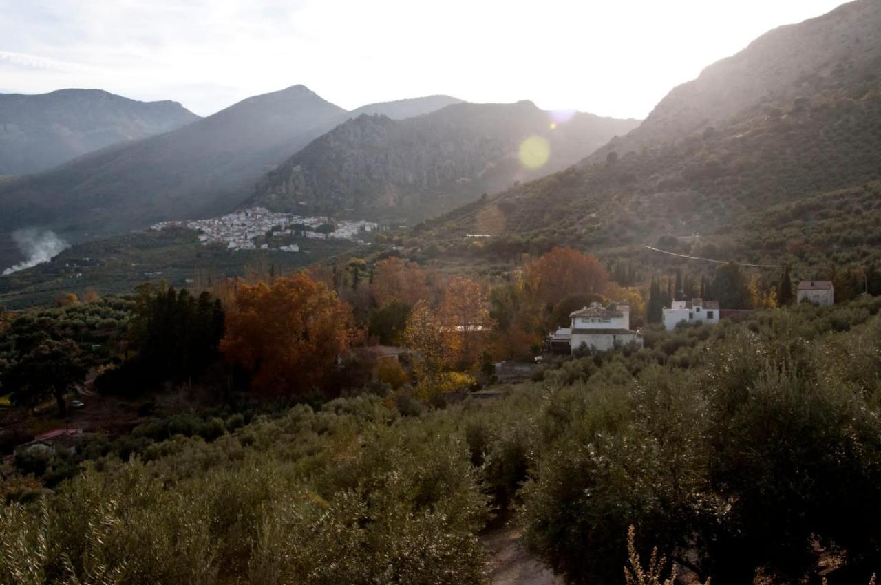 Casa La Oliva Villa Albanchez de Ubeda ภายนอก รูปภาพ